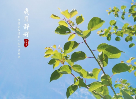 愿歲月靜好，山河無(wú)恙